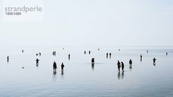 Große Gruppe von Menschen oder eine Menschenmenge  die im flachen Wasser an der deutschen Nordseeküste bei Ebbe spazieren geht und schwimmt  Silhouetten im Gegenlicht