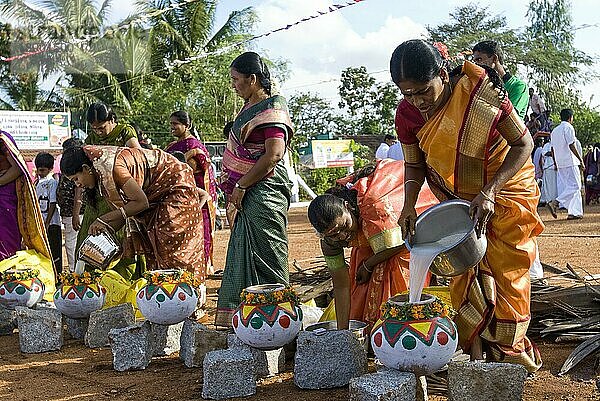 Frauen beim Pongal-Fest in Pollachi  Tamil Nadu  Südindien  Indien  Asien