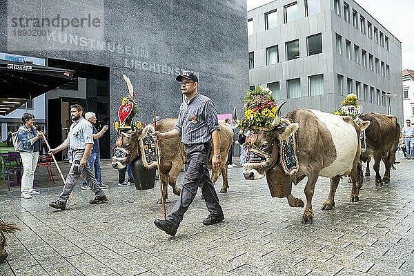 Alpabfahrt-Pradamee durch das Städtle  Vaduz  Liechtenstein  Europa