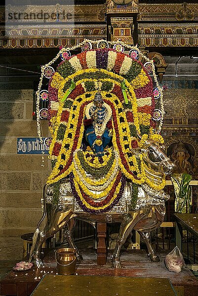 Geschmückte Göttin Parvathi auf einem Risabha vahana Fahrzeugträger während des Vinayak Chaturthi Ganesh Chaturthi Festes im Sri Karpaga Vinayakar Tempel in Pillaiyarpatti bei Karaikudi  Tamil Nadu  Südindien  Indien  Asien