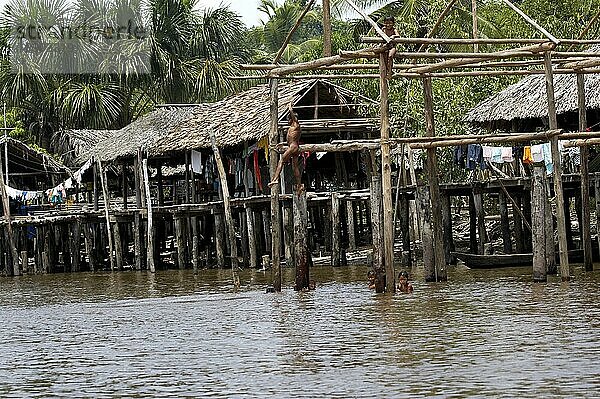 Waraos Haus  Idioten leben im Orinoco-Delta in Venezuela