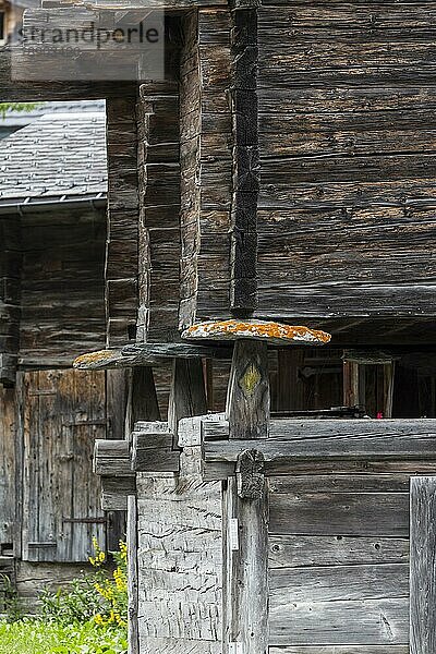 Typisches Walliser Bauernhaus in Holzbauweise  Steinscheiben schützen vor Mäusen  Niederwald  Goms  Wallis  Schweiz  Europa