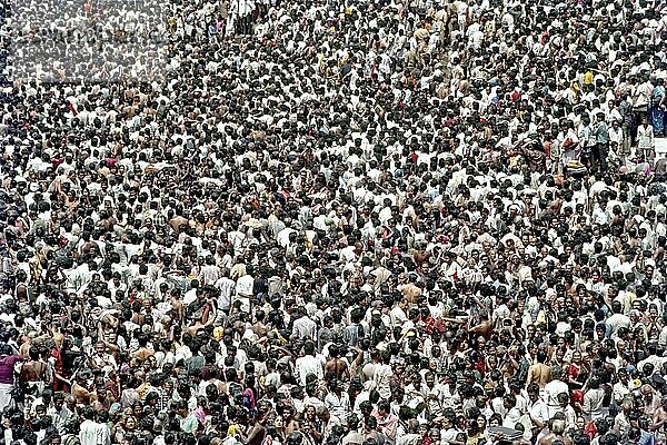 Besprengen der Menschen mit Brahmma theertham (heiliges Wasser) während des Mahamakham Festes in Kumbakonam  Tamil Nadu  Indien  Asien