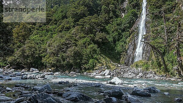 Blick auf die Thunder Creek Falls in Neuseeland