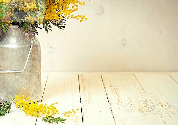 Mimosenblüten in einer Vintage-Milchkanne aus Metall auf einem rustikalen weißen Holzhintergrund. Dekoration im Shabby-Chic-Stil. Selektiver Fokus. Platz für Text. Vintage-Retro-Ton