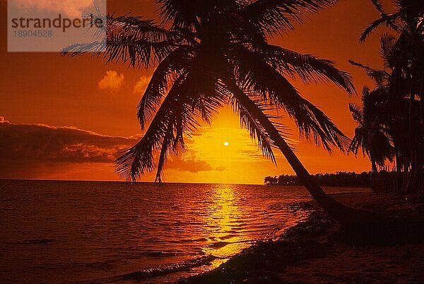 Tropischer Strand bei Sonnenaufgang  Punta Cana  Dominikanische Republik  Mittelamerika