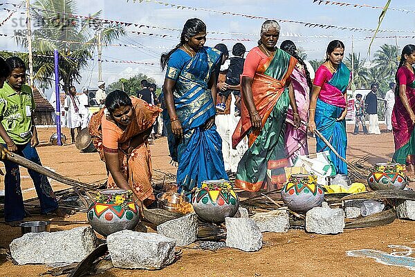 Frauen beim Pongal-Fest in Pollachi  Tamil Nadu  Südindien  Indien  Asien