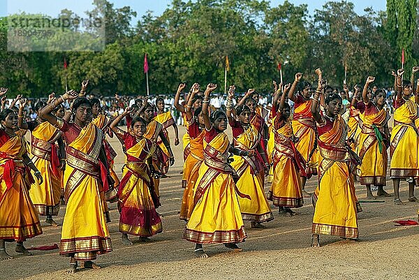 Mädchen führen Gruppentänze auf  Pongal-Feier in Madurai  Tamil Nadu  Südindien  Indien  Asien