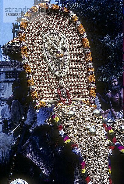 Ikone der Krishna-Gottheit auf einem Elefanten mit Kopfbedeckung beim Pooram-Fest  Thrissur oder Trichur  Kerala  Indien  Asien