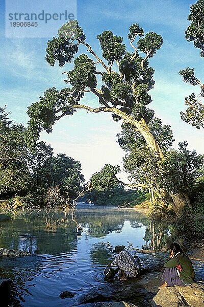 Eine Stammesfrau wäscht ihre Utensilien am Moyar-Fluss im Mudumalai-Nationalpark  Nilgiris  Tamil Nadu  Südindien  Indien  Asien