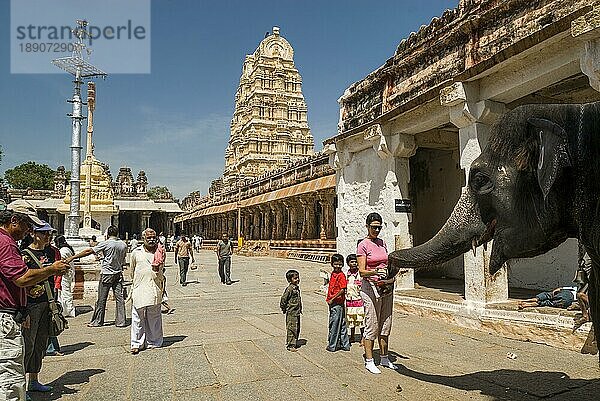 Gläubige erhalten den Segen des Tempelelefanten im Virupaksha-Tempel in Hampi  Karnataka  Südindien  Indien. UNESCO-Welterbe