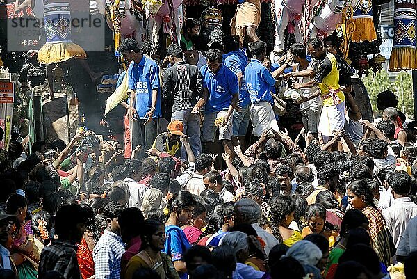 Chariot-Tempelfest im Kapaleeswarar-Tempel in Mylapore in Chennai  Tamil Nadu  Indien  Asien