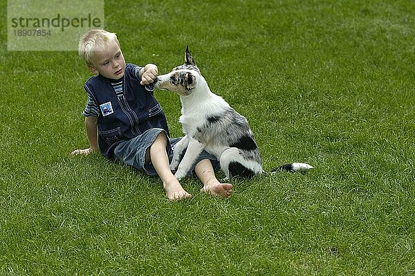 Junge spielt mit Mischlingshund  Welpe