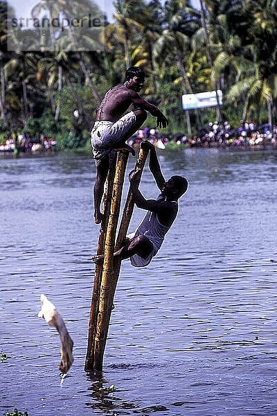 Begeisterte Zuschauer an einem Pfahl beim Nehru Trophy Boat Race  Alappuzha Alleppey  Kerala  Südindien  Indien  Asien