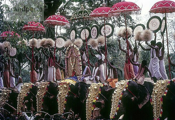 Geschmückte Elefanten und bunte Sonnenschirme beim Pooram-Fest in Thrissur Trichur  Kerala  Südindien  Indien  Asien