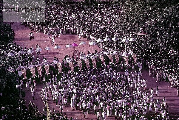 Pooram Festival in Thrissur Trichur  Kerala  Südindien  Indien  Asien