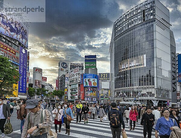 Tokio Japan. Rushhour an der Shibuya-Kreuzung