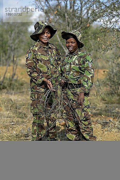 Zwei Frauen der Anti-Wilderer-Einheit Black Mambas mit beschlagnahmten Wildererschlingen  Balule-Wildreservat  Provinz Limpopo  Südafrika