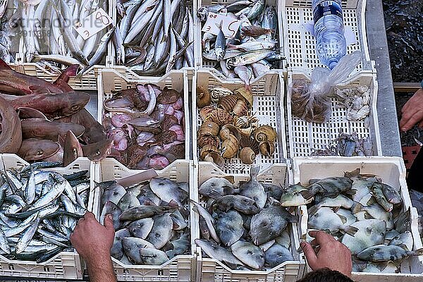 Piscaria  der tägliche Straßenmarkt in Catania  Sizilien  Italien. Frischer Fisch  Fleisch  Gemüse