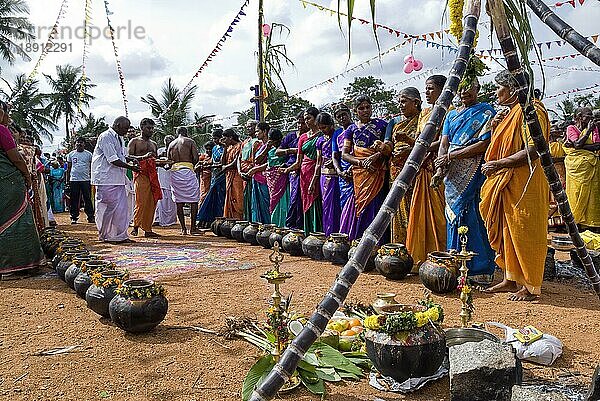 Dorfbewohner verehren Pongal-Töpfe während des Pongal-Festes in Pollachi  Tamil Nadu  Südindien  Indien  Asien