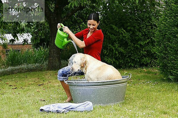 Frau badet Labrador-Retriever in Blechwanne  Wanne  Gießkanne  Garten