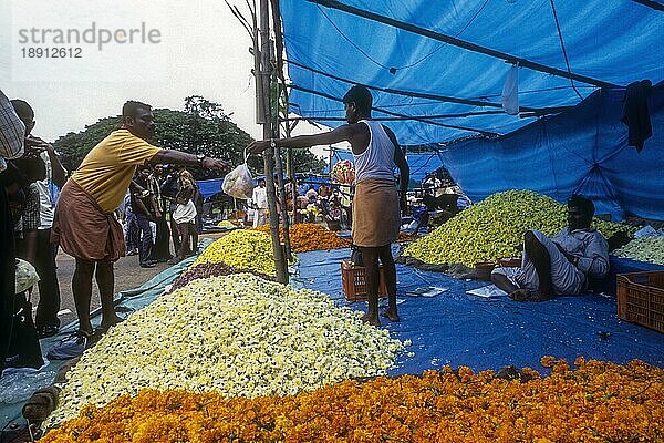 Ein Blumenmarkt in Plotform während des Onam Festes in Thrissur oder Trichur  Kerala  Indien  Asien