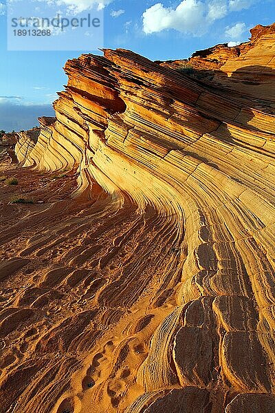The Great Wall  Water Holes Canyon  Navajo Reservat  Page  Arizona  USA  Nordamerika