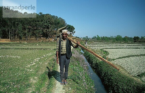 Landwirt auf dem Feld  Pokhara-Chhorepatan  Nepal  Asien