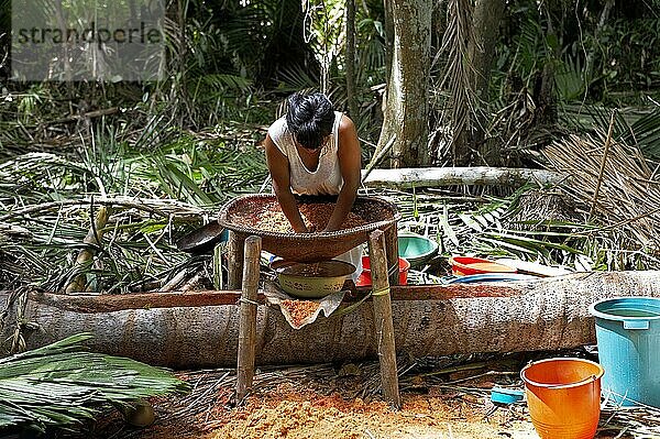 Warao-Frau beim Backen von Brot mit Mehl aus Palmen  mauritia flexulosa  Indianer im Orinoco-Delta  Venezuela  Südamerika