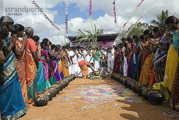 Dorfbewohner verehren Pongal-Töpfe während des Pongal-Festes in Pollachi  Tamil Nadu  Südindien  Indien  Asien