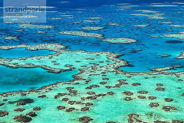 Großes Barriere-Riff. Whitsundays. Queensland Australien