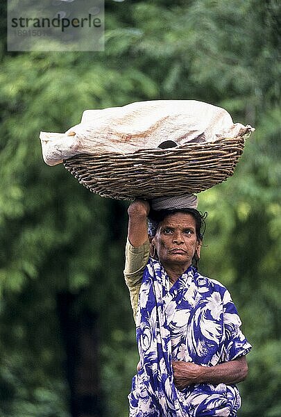 Eine alte Frau trägt einen Korb voller Gepäck auf dem Kopf  Tamil Nadu  Südindien  Indien  Asien