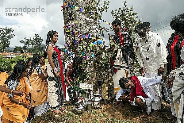 Toda Hochzeit  Nilgiris  Ooty Udhagamandalam  Tamil Nadu  Südindien  Indien  Asien