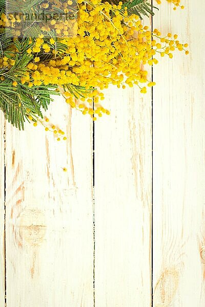 Mimose Blumenstrauß auf dem rustikalen weißen hölzernen Hintergrund. Dekoration im Shabby-Chic-Stil. Selektiver Fokus. Platz für Text. Vintage-Retro-Ton