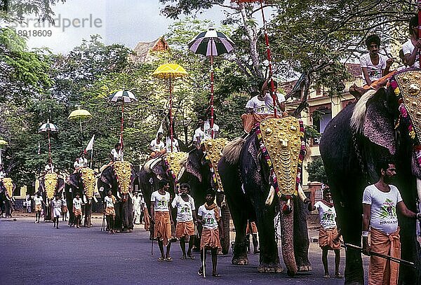 Großes Elefantenmarschfest in Thiruvananthapuram Trivandrum  Kerala  Südindien  Indien  Asien