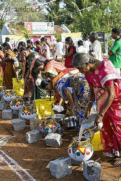 Frauen beim Pongal-Fest in Pollachi  Tamil Nadu  Südindien  Indien  Asien