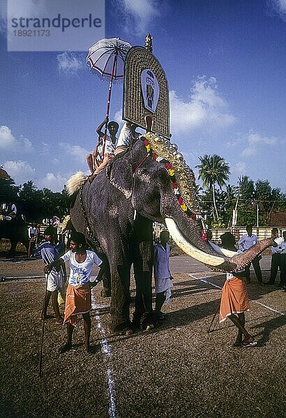 Große Elefantenmarschfeier in Thiruvananthapuram Trivandrum  Kerala  Südindien  Indien  Asien