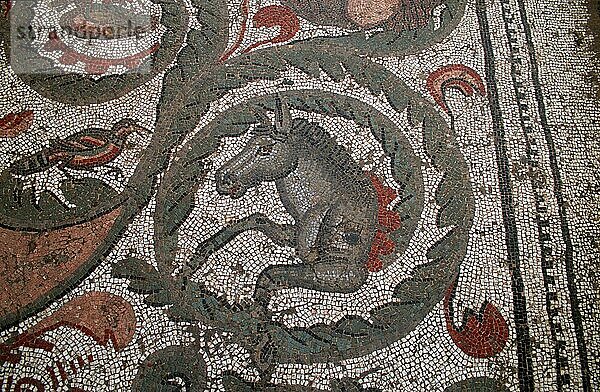 Bodenmosaik  Mosaik  Villa Romana del Casale  Piazza Armerina  Enna  Sizilien  Italien  Europa