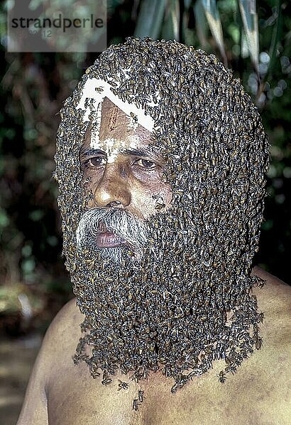Bienenbart verstorbener Herr Rangaramanujam kannaian  Gesicht eines Mannes mit Bienen bedeckt  Coimbatore  Tamil Nadu  Südindien  Indien  Asien