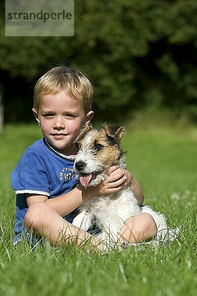 Junge mit einem Drahthaar-Foxterrier  Welpe steht auf dem Rasen