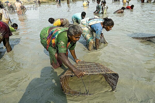 Fischereifest in Venthanpatti in der Nähe von Ponnamaravathy  Bezirk Pudukkottai  Tamil Nadu  Südindien  Inida  Asien. Während der Sommersaison  wenn das Wasser des Sees auf ein Minimum gesunken ist  versammeln sich alle Bewohner des Dorfes in diesem Seegebiet  um in einer günstigen Zeit Fische zu fangen. Sie können die Fische fangen  wie sie wollen  indem sie ein Fischerfest feiern