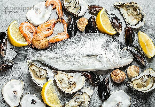 Frischer roher Fisch Dorado  Austern  Garnelen  Venusmuscheln  Muscheln  Muscheln mit Zitrone auf grauem Stein rustikalen Hintergrund  Draufsicht  Nahaufnahme. Sortiment von Fisch und Meeresfrüchten  Diät  gesunde Ernährung