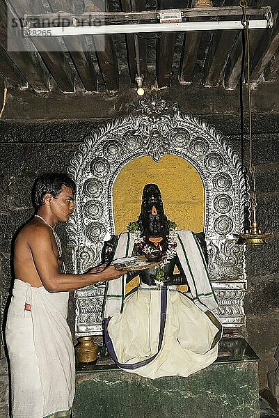 Ein Priester bei einer Pooja im Dakshinamurthy (Siva als Guru) Thyagaraja Swamy Tempel in Tiruvottriyur  Chennai  Tamil Nadu  Indien  Asien