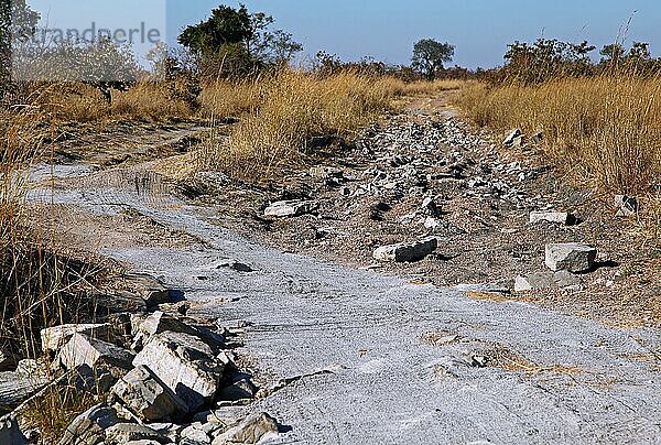 Offroad-Piste im Kafue Nationalpark  Sambia  dirt road at Kafue National Park  Zambia  Afrika