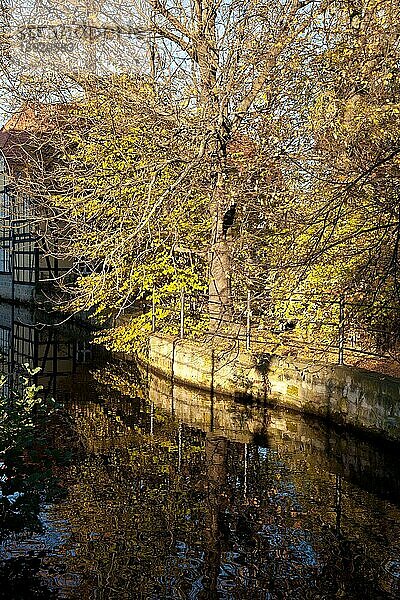 goldener Herbst Stimmung Wordgarten Quedlinburg