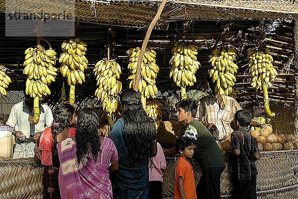 Bananenladen während des Dasara Dussera Dusera Festes in Kulasai Kulasekharapatnam in der Nähe von Tiruchendur  Tamil Nadu  Südindien  Indien  Asien