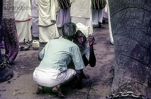 Mahouts chit chat Pooram Festival in Thrissur Trichur  Kerala  Südindien  Indien  Asien