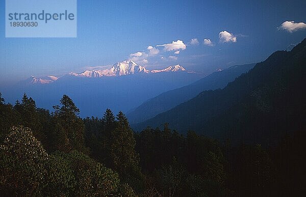Blick vom Deorali-Pass auf den Berg Daulaghiri  8150 m  Nepal  Asien