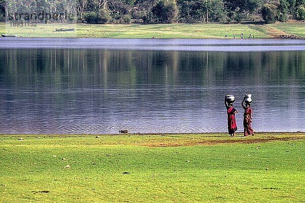 Stammesfrauen tragen Wasser auf dem Kopf Kabini  Karnataka  Südindien  Indien  Asien