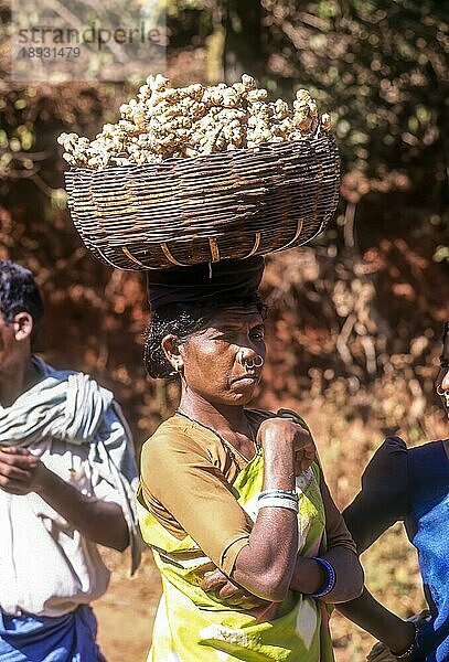 Eine Stammesangehörige trägt einen Korb voller Ingwer auf dem Kopf zum Verkauf auf dem Sunkarametta-Stammeswochenmarkt im Araku-Tal nahe Visakhapatnam Vizag  Andhra Pradesh  Südindien  Indien  Asien